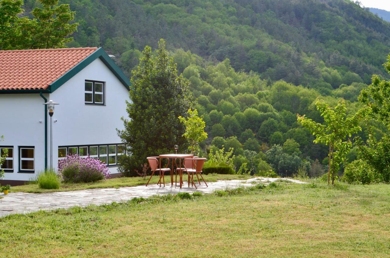 Solar Da Castanha - Forest House Guest House Manteigas Exterior photo